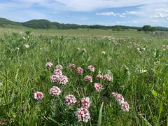 -塞罕坝国家级自然保护区
