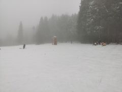 -武陵山森林公园