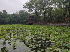 -房湖公园