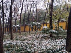 -西园戒幢律寺