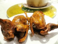 -琬苑鸽庄·川粤融合菜(解放碑总店)