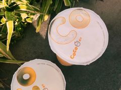 柠檬椰果养乐多-CoCo都可(昆百大店)