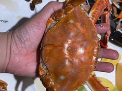 -蓝珊甄选海鲜自助·火锅大排档(近阿那亚店)