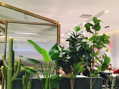 -卡朋西餐(大信新都汇店)