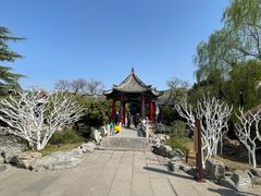 -济南大明湖景区
