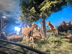 -国家自然博物馆