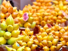 -越秀西湖花市(广州城市广场花卉店)