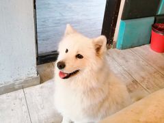 -不止轰趴独栋别墅户外烧烤(颐西庄园店)