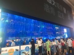 -成都浩海立方海洋公园