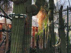 -北京植物园-展览温室