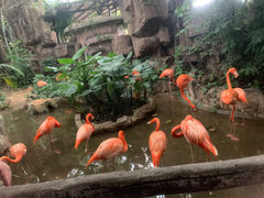 -长鹿旅游休博园
