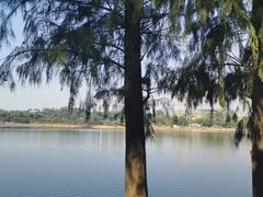 -松山湖南湖湾露营营地