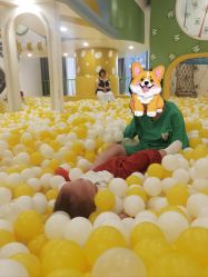 -Waof Park 淘气堡·儿童乐园(番禺天河城店)