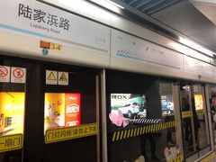 -陆家浜路(地铁站)