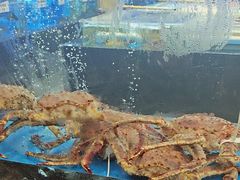 -悦来轩顺德菜(寮厦店)