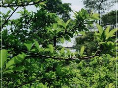 -中国移动南方基地