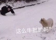 -茉沏(光启城店)