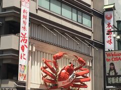 -蟹道乐(道顿堀本店)