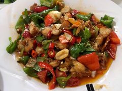 -煲来饱去冷水鱼