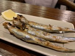 -鸟亭·居酒屋(青年路店)