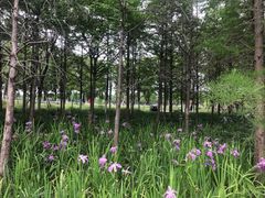 -东湖落雁景区
