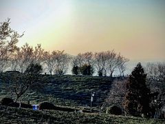 -南京市江宁方山