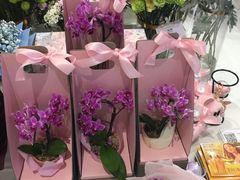 -花邻FloweringLife花艺气球派对(武康大楼店)