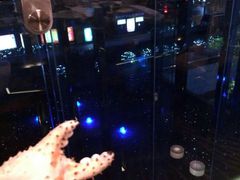 -广州天河希尔顿酒店