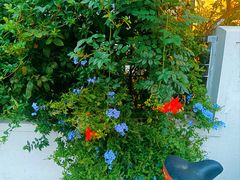 -环城公园-琥珀潭