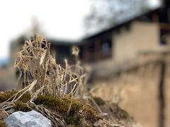 -萝卜寨羌文化生态旅游区