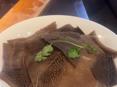 -辣伍鲜毛肚老火锅(元一店)