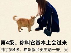 -心语宠物医院·急重症转诊中心·瑞辰华诺(南青路店)