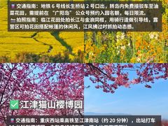 -南山植物园