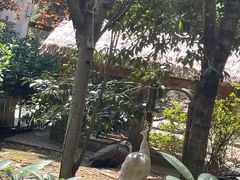 -黔灵山公园