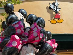 -巴黎迪士尼乐园