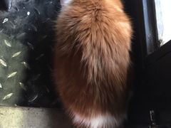 -MIKAKU(万达广场上海宝山店)