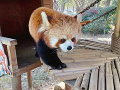 -常州淹城野生动物世界