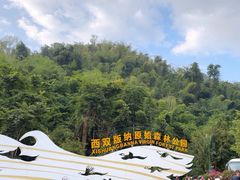 -西双版纳原始森林公园