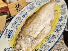 清蒸白水鱼-南京大牌档(人民广场店)