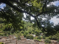 -杨家堂村