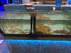 -小天鹅戴斯酒店鲸鲨百汇创作料理