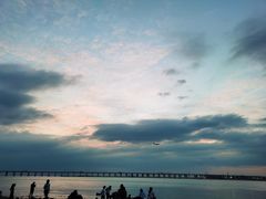 -宝安西湾红树林湿地公园