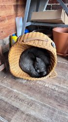 -青木造型HAIR·あおき髪を刈る潮人店