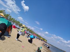 -呼兰河口湿地公园
