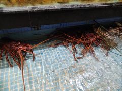 -濠景渔港(汇通店)