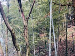 -藏龙百瀑风景区