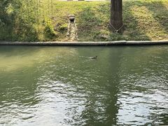 -皇家御河游(紫御湾码头)
