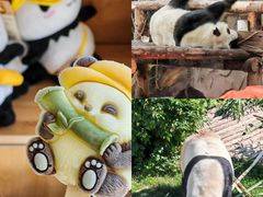 -青藏高原野生动物园