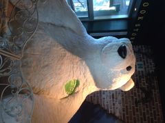 iphone_upload_pic-济州岛泰迪熊博物馆