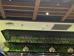 -小厨娘淮扬菜(清江苏宁广场店)